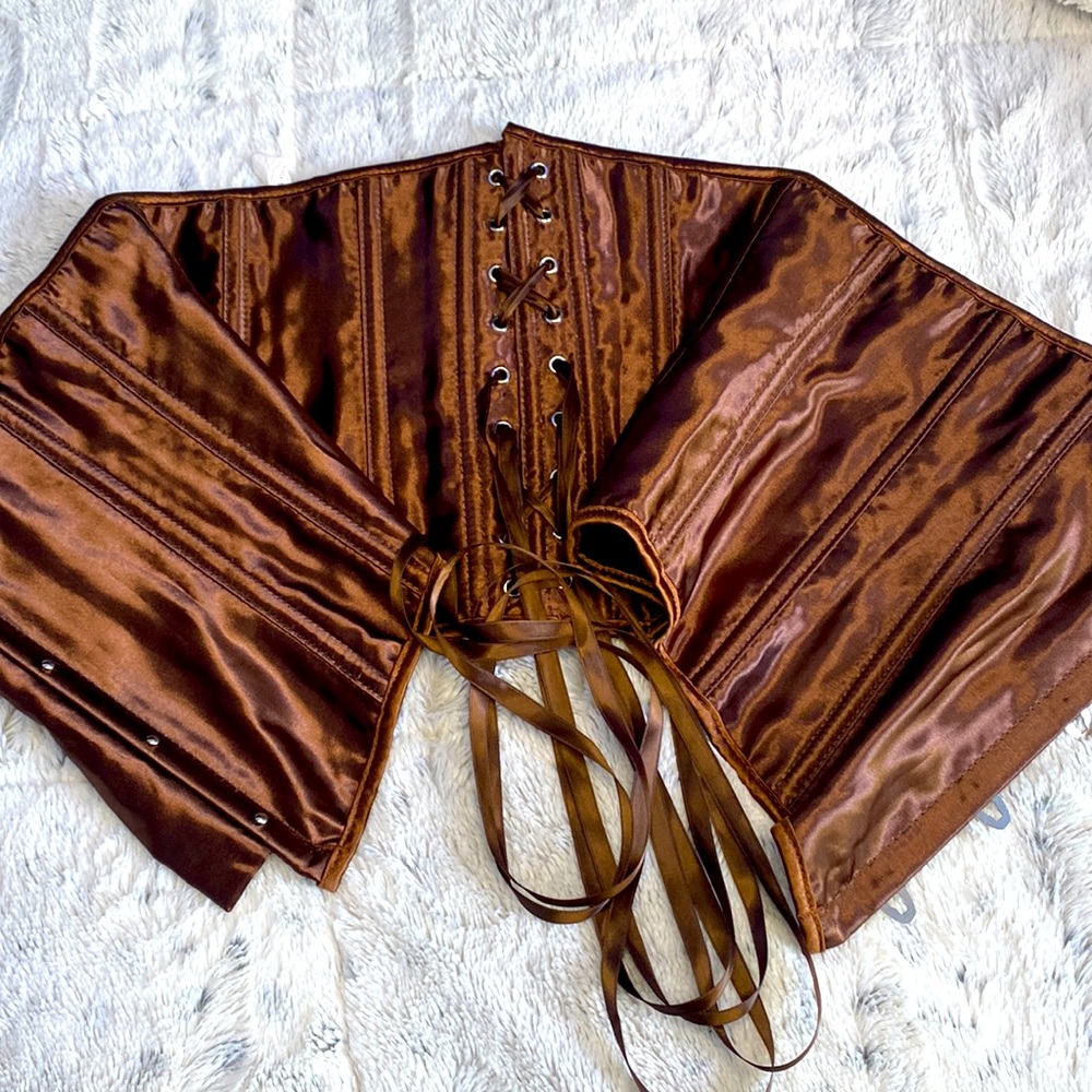 Beautiful Brown Silk Corset